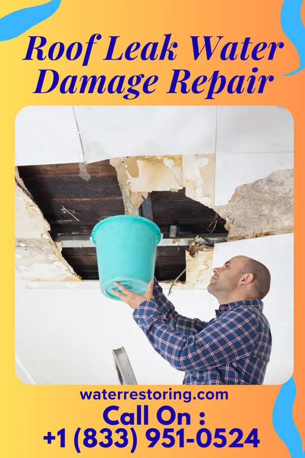 Roof Leak Water Damage Repair in Antigo, WI