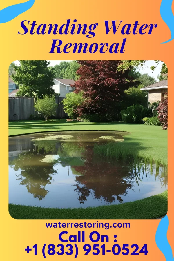 Standing Water Removal in Antigo, WI